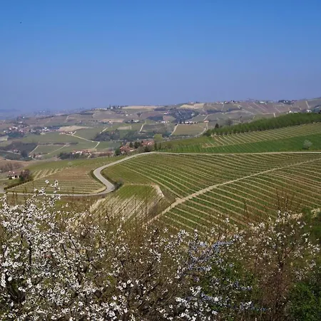 Il Caprifoglio * Neviglie